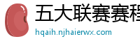 五大联赛赛程时间表2024年